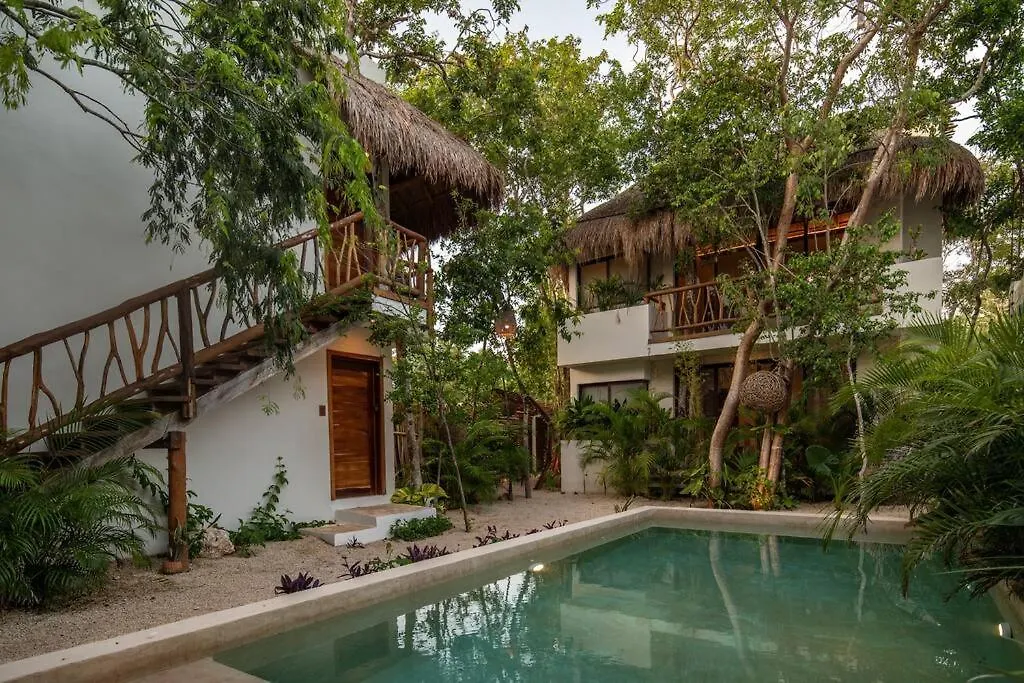 Apartment Loft Hermoso Con Rooftop Tulum Mexico