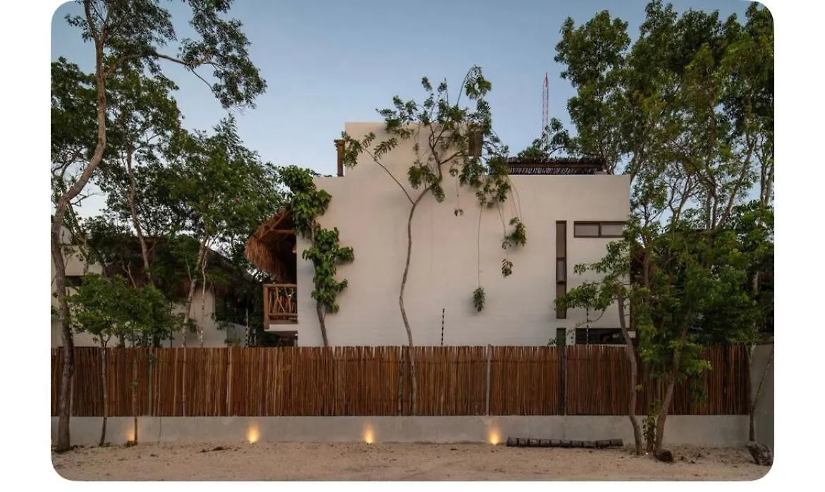 Loft Hermoso Con Rooftop Tulum