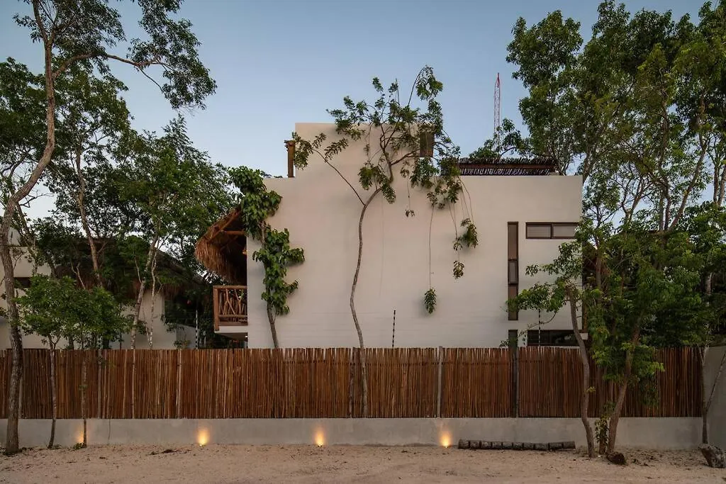 Loft Hermoso Con Rooftop Tulum