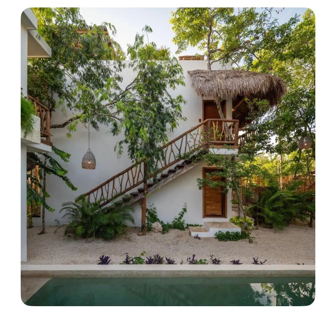 Apartment Loft Hermoso Con Rooftop Tulum